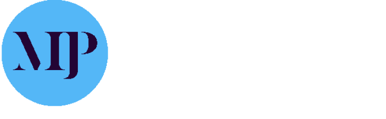 image-20250311-161252